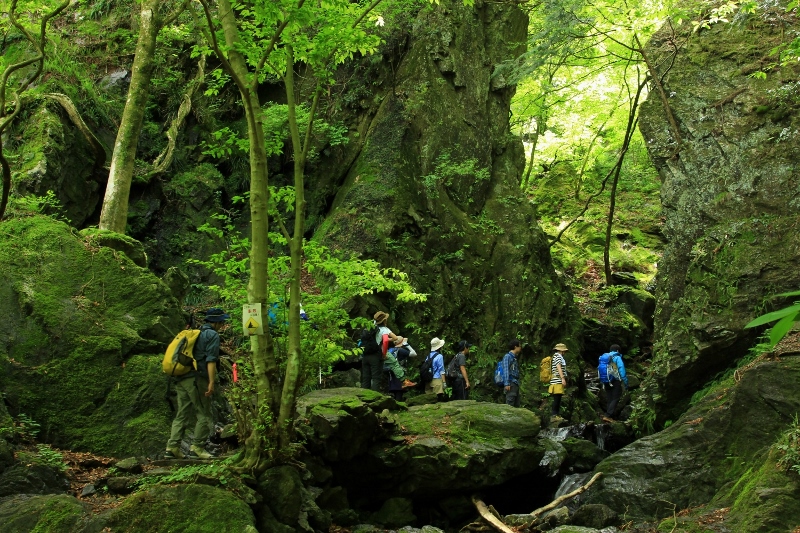［登山･埼玉］関東百名山 棒ノ折山（棒ノ嶺） 20.07.11 sat.
